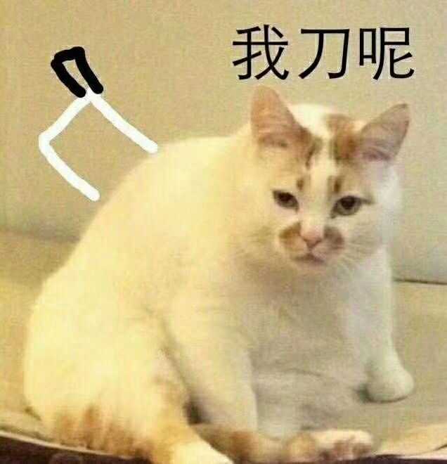 你睡觉醒来发现自己睡懵了以后都做过什么搞笑的事情?
