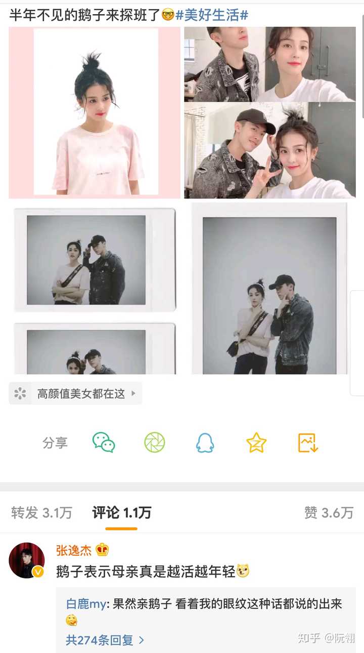 白鹿有什么吸引你的闪光点