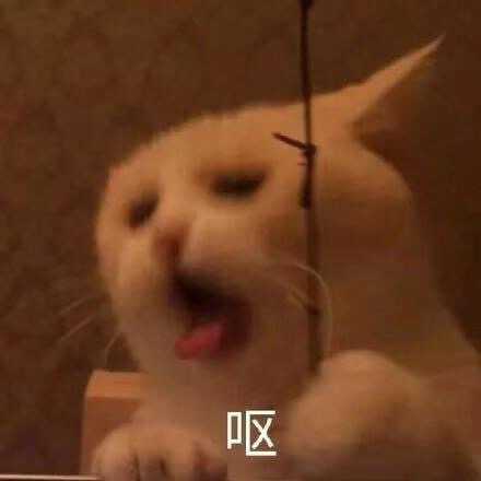 你用过的最沙雕的表情包是什么?