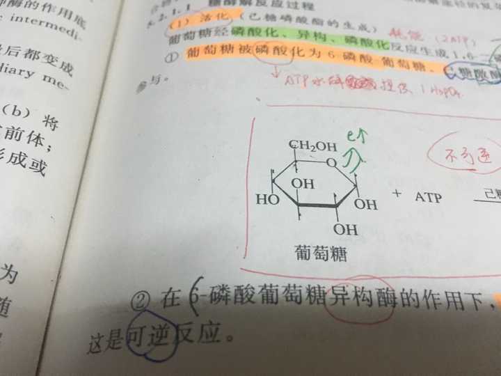 为啥葡萄糖的结构式还有这样的?