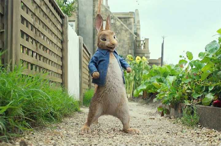 如何评价 2018 电影《比得兔 peter rabbit》?