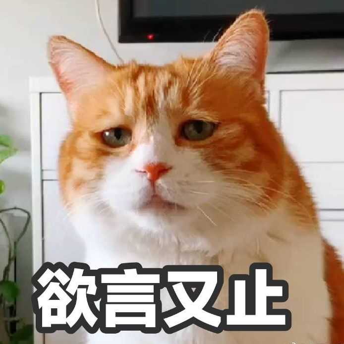 壁纸 动物 猫 猫咪 小猫 桌面 694_694