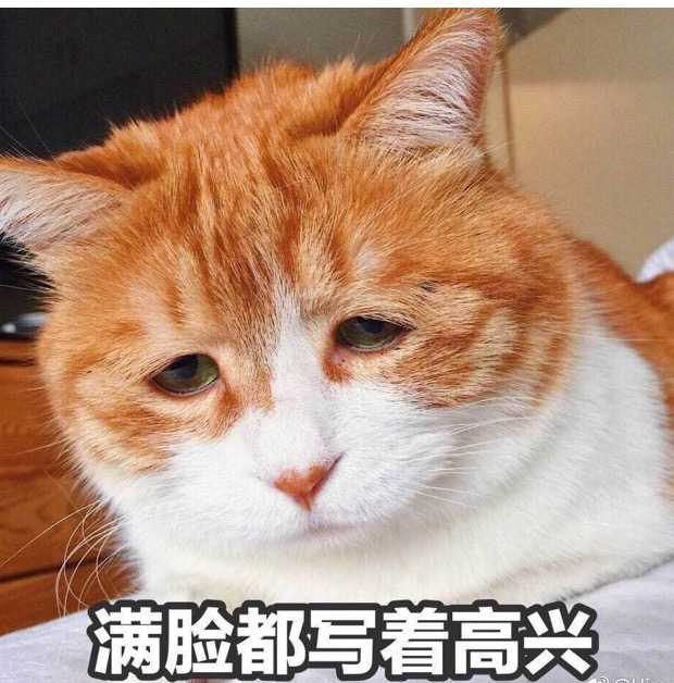 为什么很多知乎用户喜欢使用猫咪的表情包