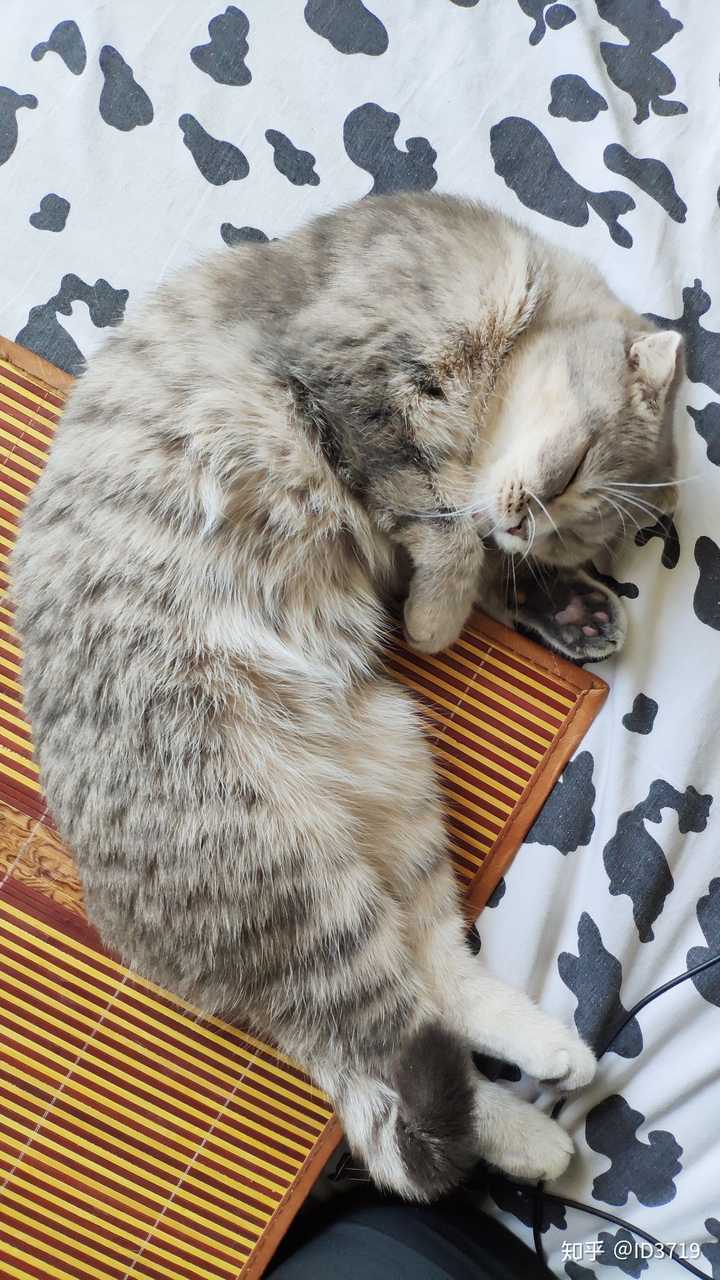 偷偷瞄我一眼