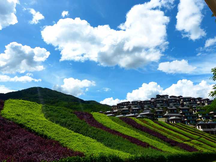 呀诺达的天空