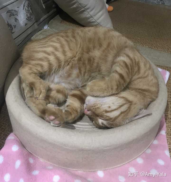 一睡解千愁