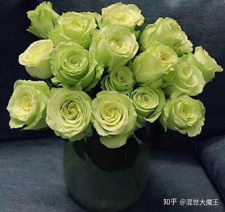 有原生绿色玫瑰花吗?