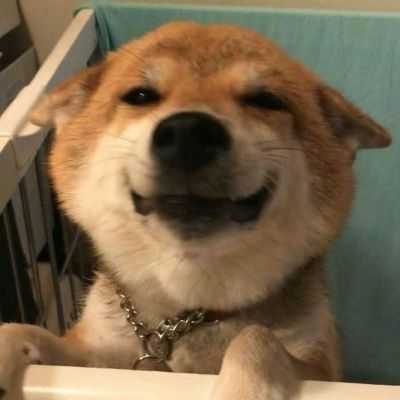 有哪些高逼格qq头像吗?