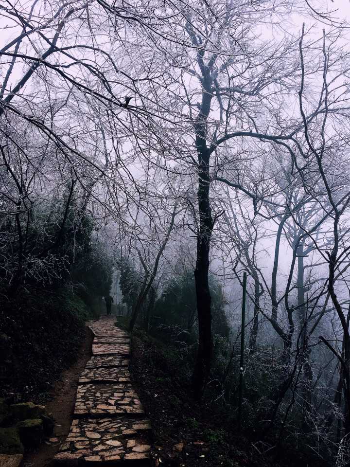 岳麓山,冰冻,冬天姿势满满