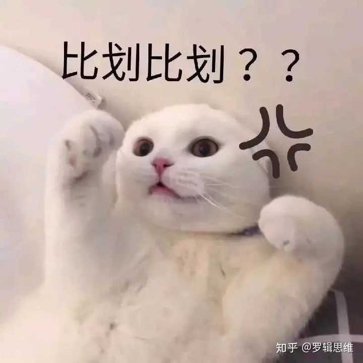 有哪些可以哄女朋友的表情包?