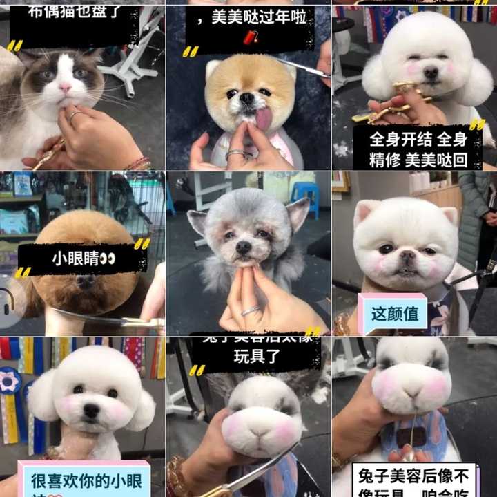 喜欢看快手的都是什么心理?