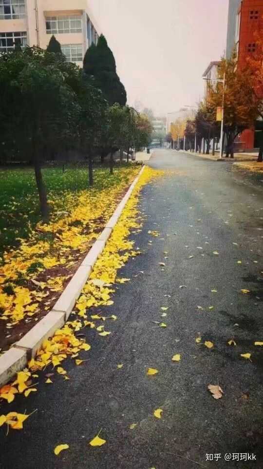 在安阳市二中就读是一种怎样的体验?