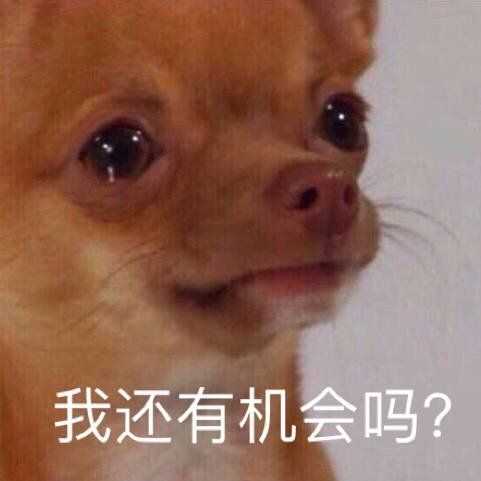 有没有什么很有格调的沙雕头像?