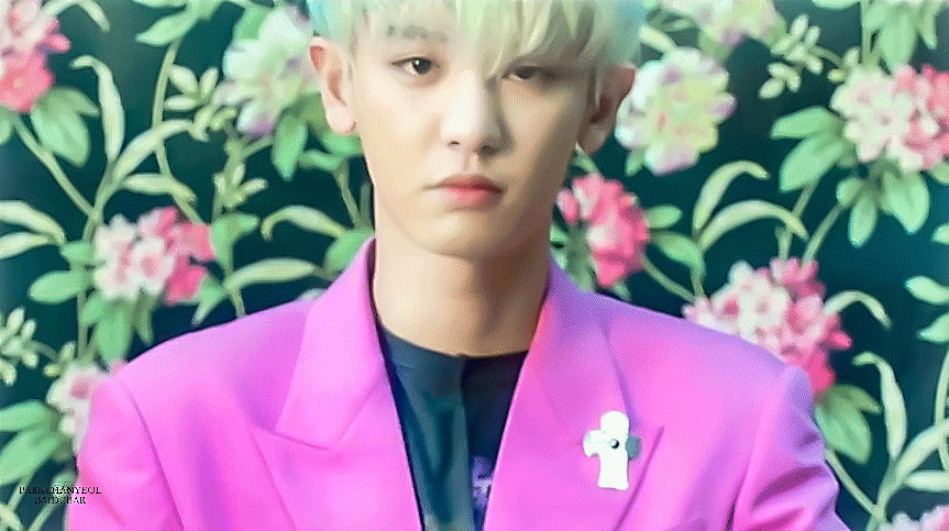 女idol: 允儿,雪莉,秀智