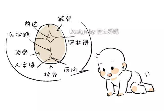 孕妇应该怎样有效地补钙 补钙吃什么钙片?