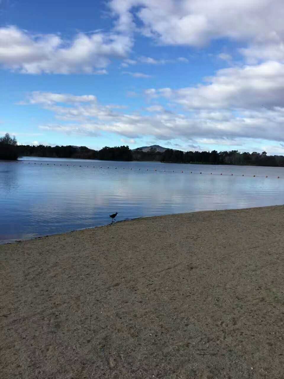 澳洲堪培拉风景
