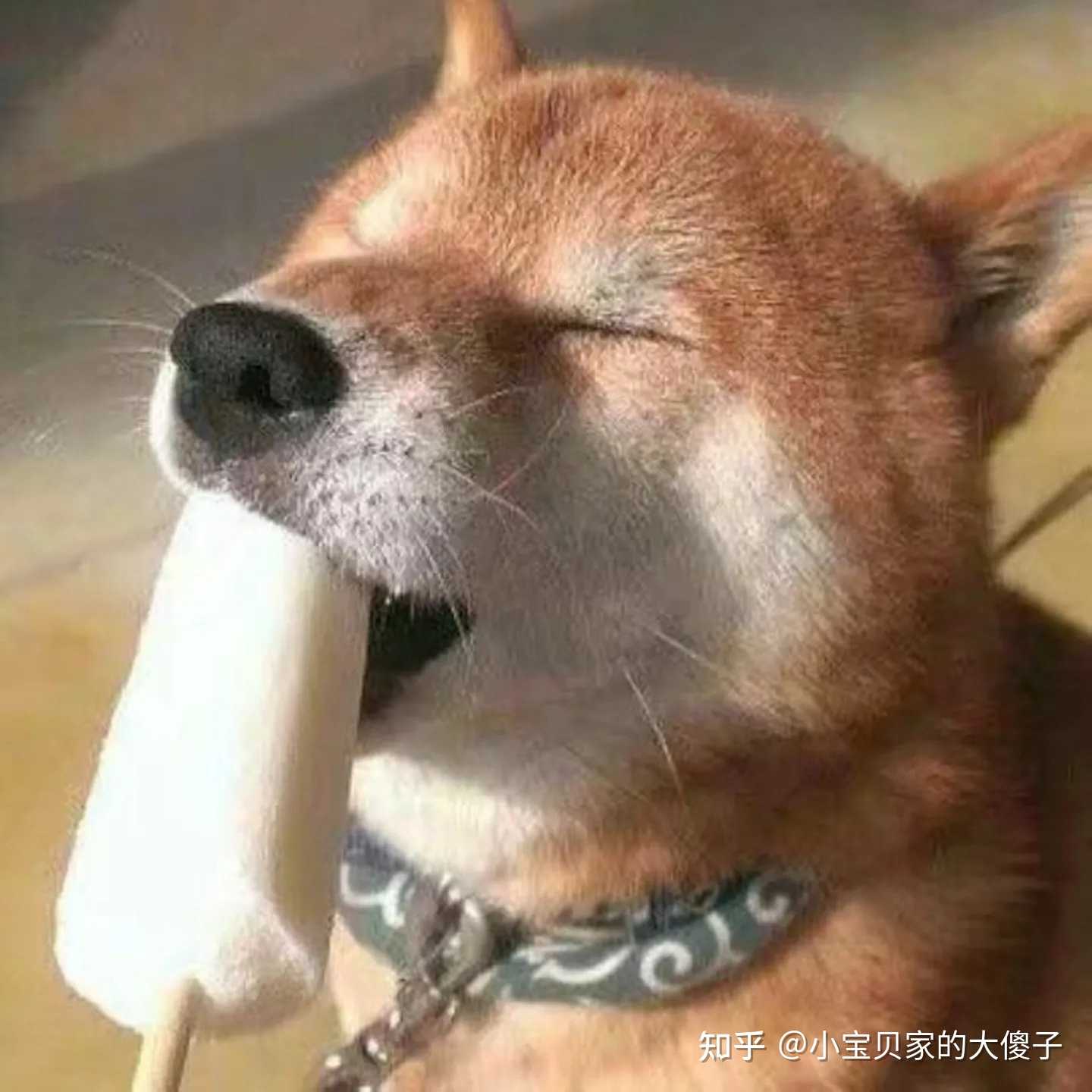 小宝贝家的大傻子