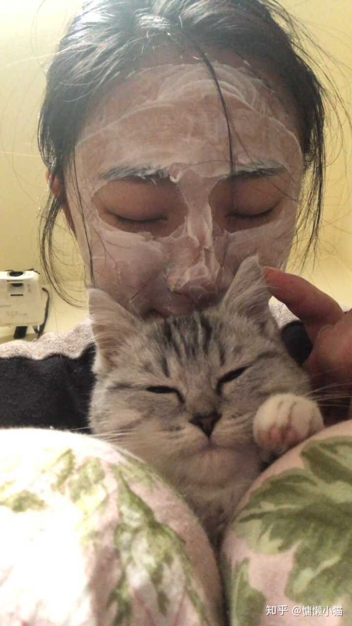 家里的猫不但不高冷还超级粘人是一种什么样的体验?