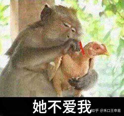 你用过的最沙雕的表情包是什么?