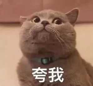谁有猫猫狗狗的表情包啊!治愈系的?