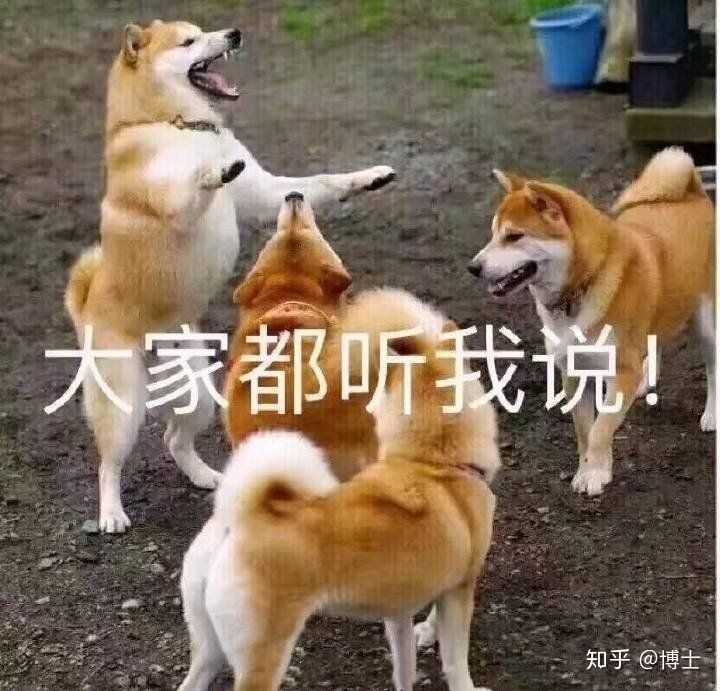 看上去是不是挺霸气并且透露一丝憨憨气息,哈哈哈