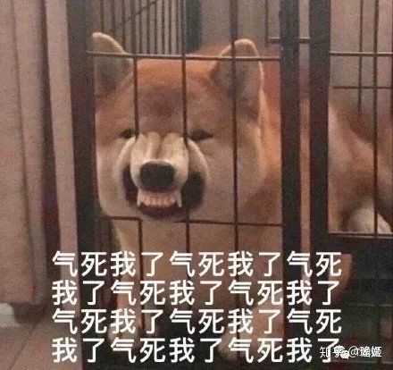 不符合我得沙雕气质,接下来多图预警,请准备收图.
