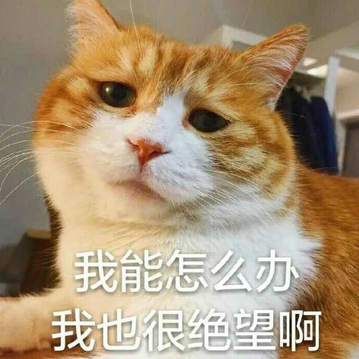 好气哦还要保持微笑.