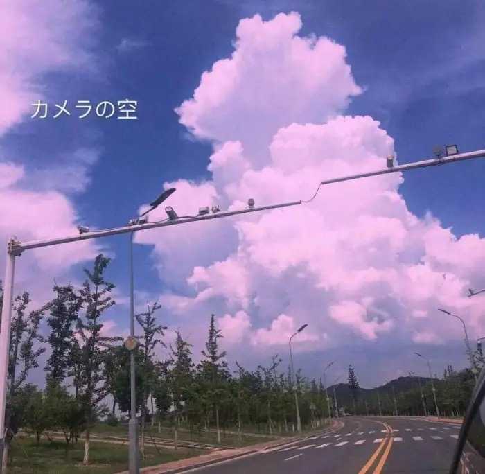 有哪些温柔且丧的句子?