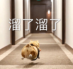 如何评价电视剧《一场遇见爱情的旅行》?