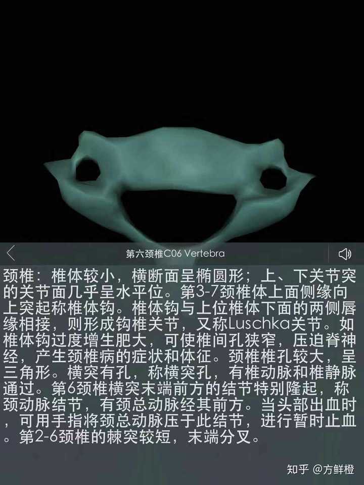 椎体钩怎么理解有详细的图解么?