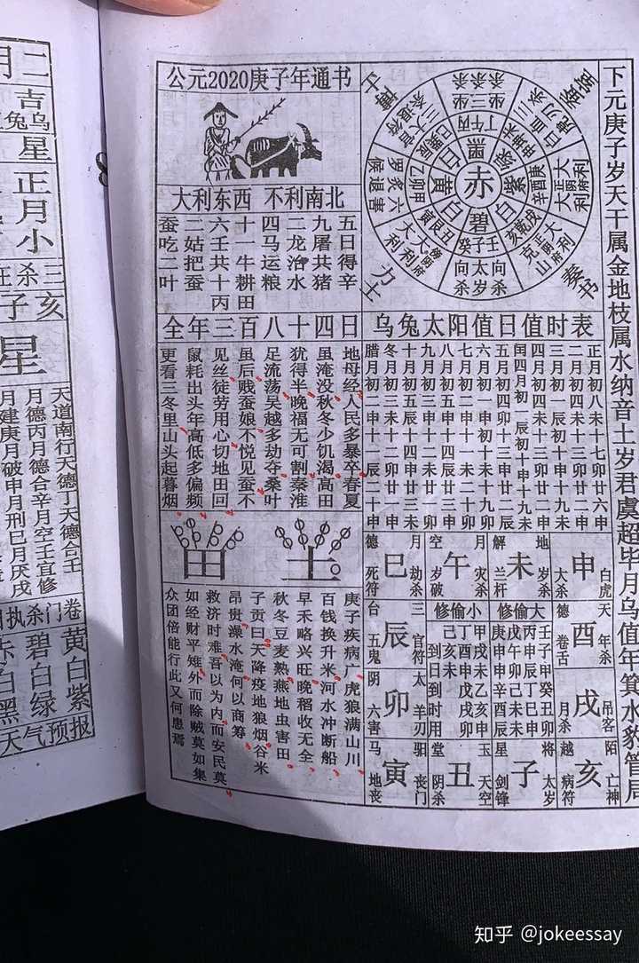 你知道哪些关于 2020 庚子年的预测?