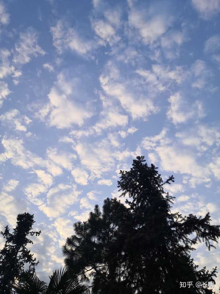 你的手机里有哪些自己拍的真实的风景照?
