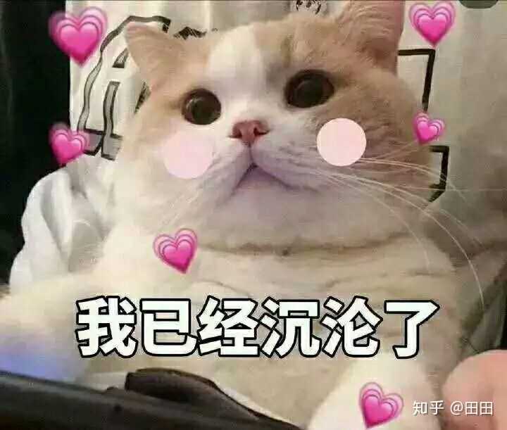 有什么萌萌的撩人表情包吗?