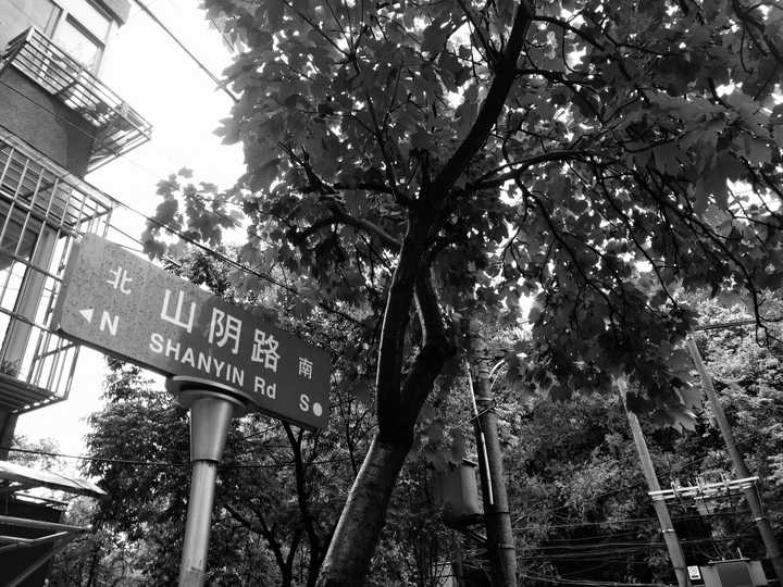 如何评价李志的《山阴路的夏天》?