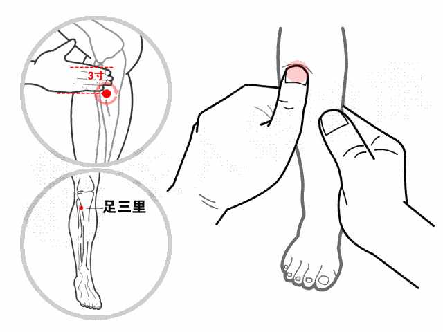 11,按揉脾胃腧