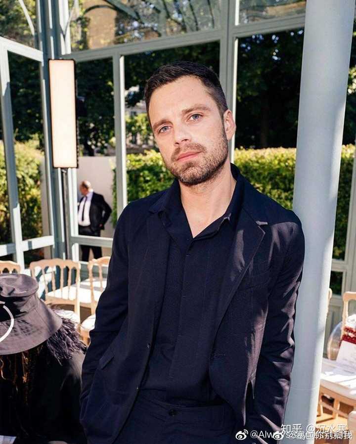 如何评价塞巴斯蒂安斯坦(sebastian stan)的长相?