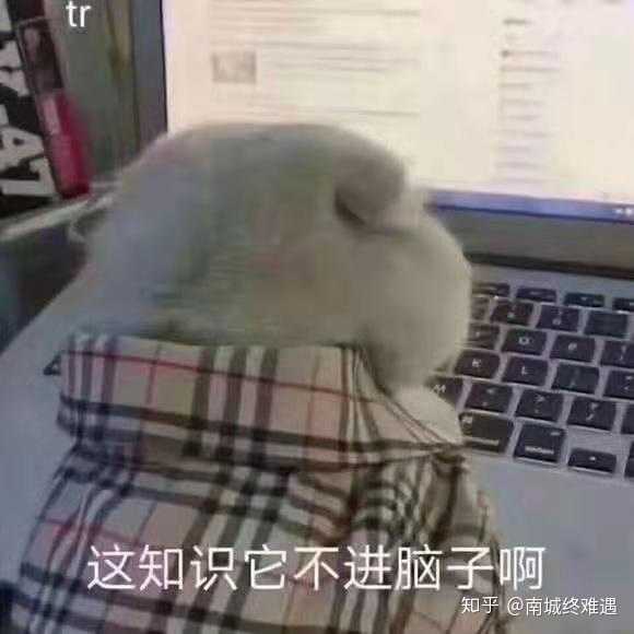 求蓝猫看电脑表情包图片原图?