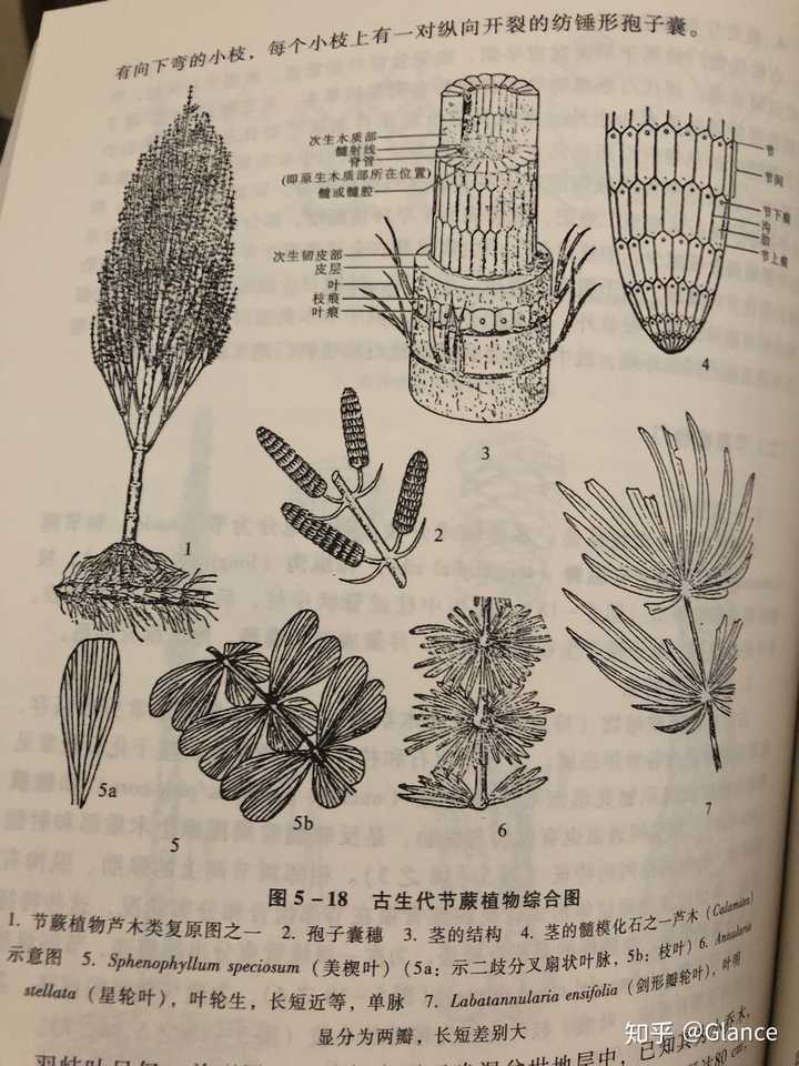 初中七年级生物教案_生物教案_初中生物教案下载