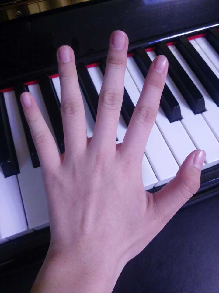 弹钢琴的人的手和普通人有区别吗?