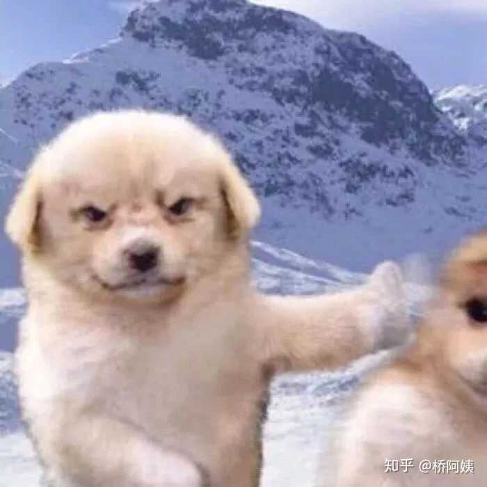 有没有很傻屌的闺蜜头像?