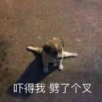你都存了哪些沙雕表情包?