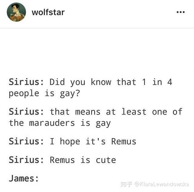 如何评价《哈利·波特》中犬狼(sirius/remus)这对cp?