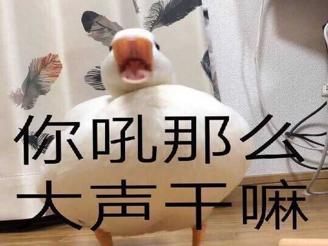 你有哪些笑喷的表情包或者动图?