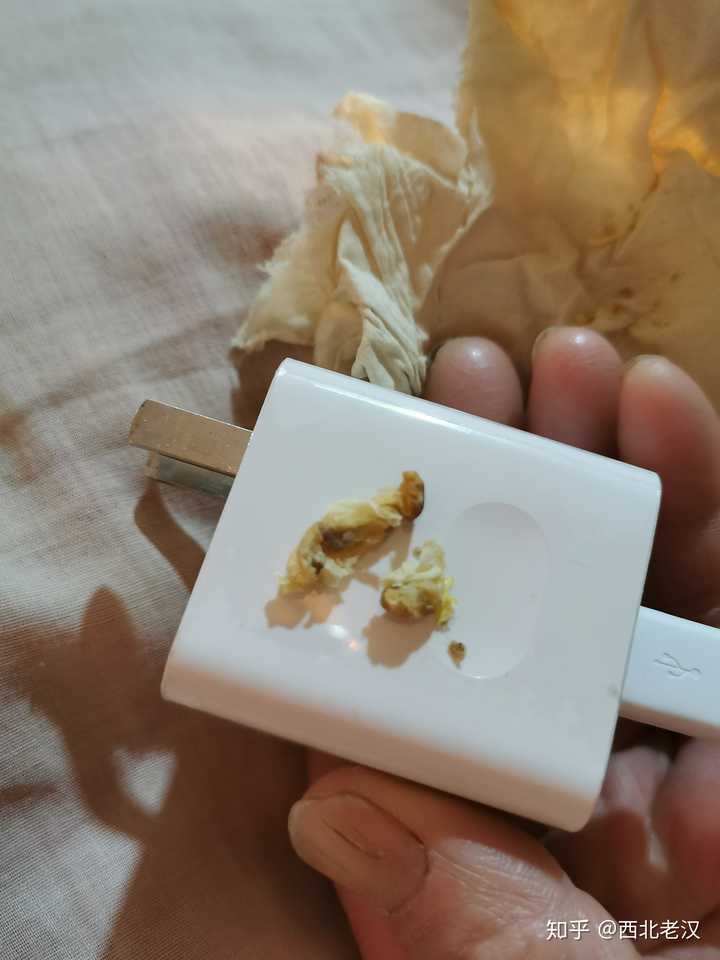 然后她努力了半天无果 我打着手机灯上去了 前期耳屎在耳朵里面的