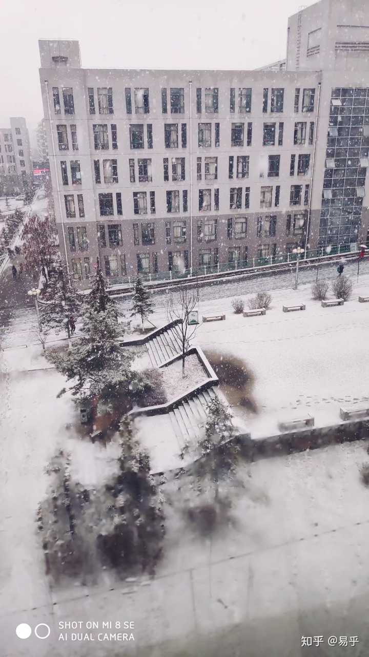 延边大学的宿舍条件如何?校区内有哪些生活设施?