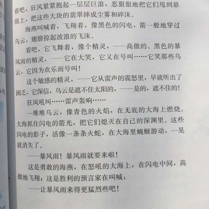 没看到海燕,让暴风雨来得更猛烈些吧!