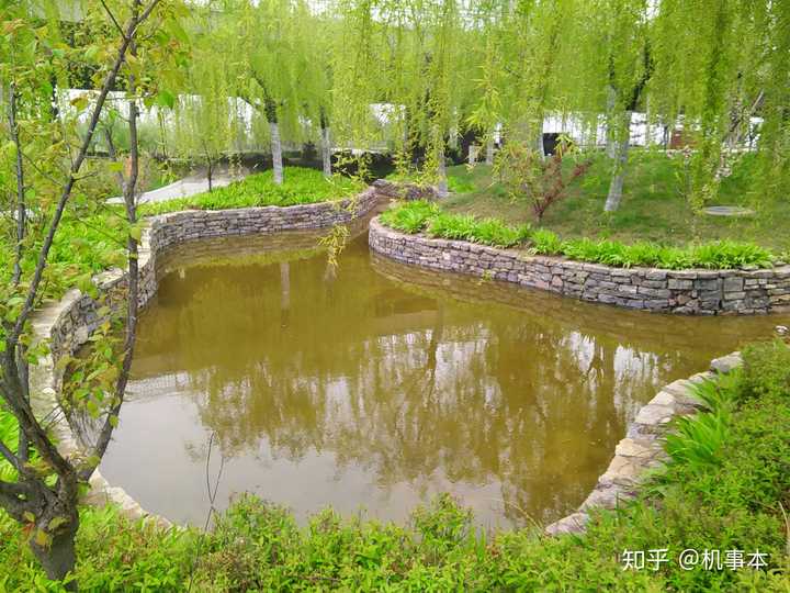 鹦鹉寺公园