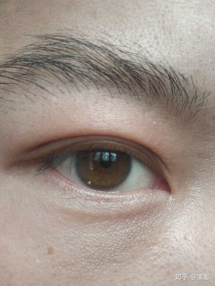 为什么中国人的眼睛是乍看像黑色的棕色,而西方人眼睛