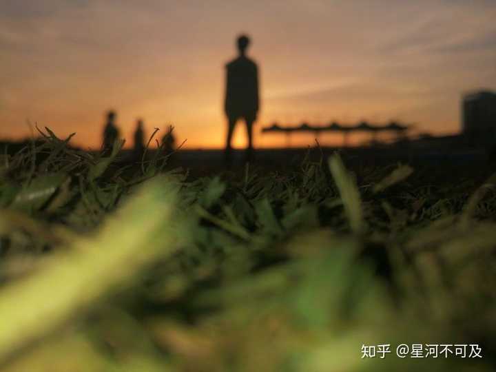 2019 年,你拍得最好的一张照片是什么?它又有什么故事