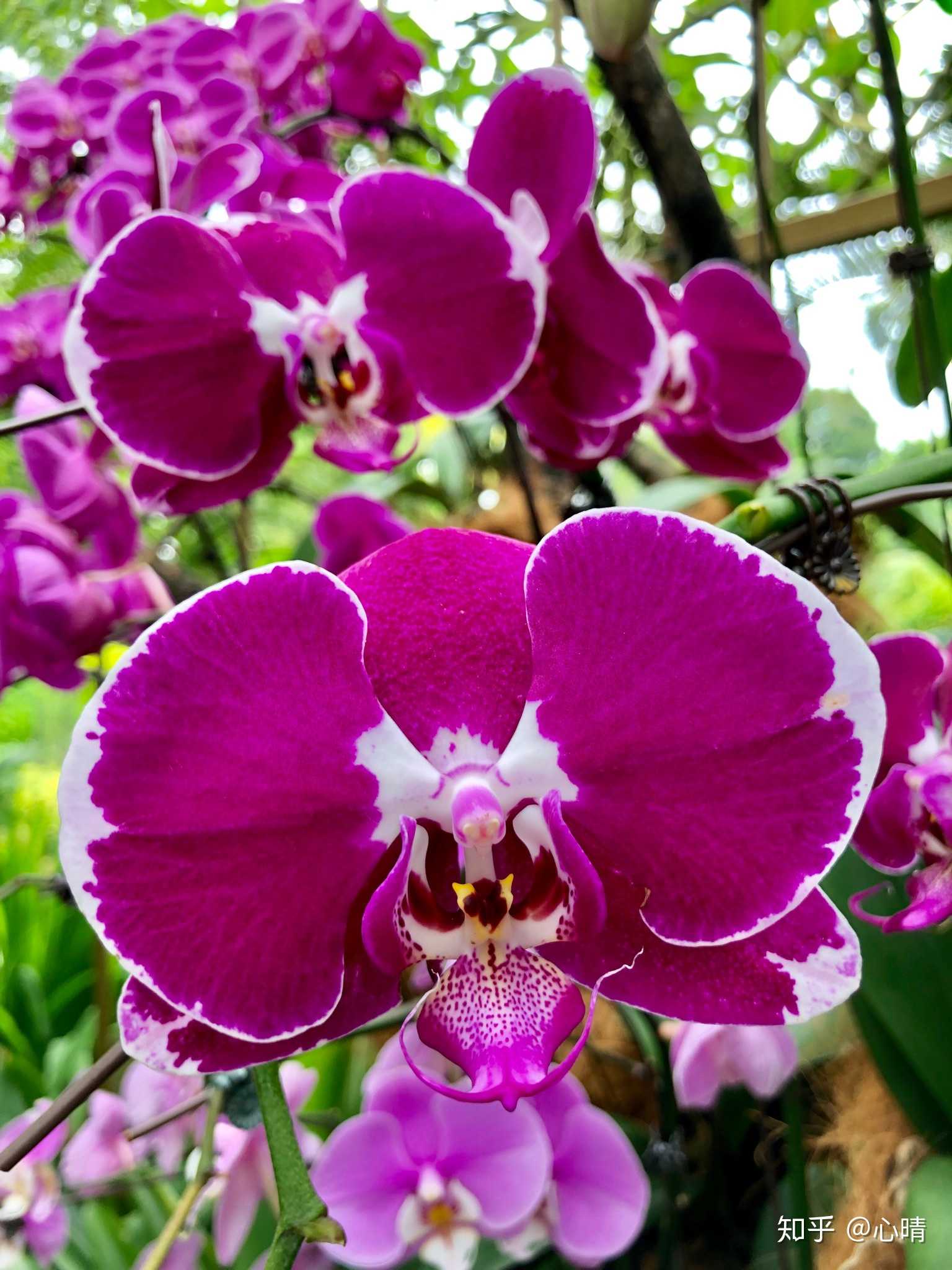 botanic garden